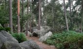 Randonnée Marche Fontainebleau - les Affolantes fontainebleau  - Photo 1