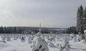 Tour Zu Fuß Jalhay - Balade dans les Hautes Fagnes - Photo 6