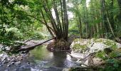 Trail Walking Sentheim - Marché au marcher 3  - Photo 1