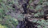 Tour Wandern Hayden - DOLOMITES 02 - Refugio Pederü - Photo 16