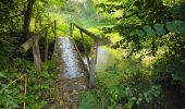 Trail Walking Unknown - Lavardin - Chemin de la roue des Carriers - Photo 8