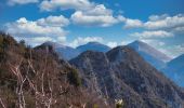 Randonnée Marche Saou - Forêt de Saoù - Saint-Médard - Photo 3