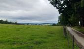 Randonnée Marche Trois-Ponts - autour de Wannes et Henimont - Photo 7