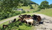 Tour Wandern Kirchberg - 2020-06-24 DW35 Au-dessus du lac Lachtelweiher - Photo 20