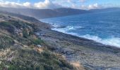 Excursión Senderismo Fuenterrabía - littoral Jaizkibel,  vallée des couleurs et Paramondras - Photo 11