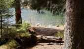 Excursión Senderismo Orbey - lac blanc col du calvaire - Photo 9