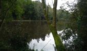 Randonnée A pied Fosses-la-Ville - Promenade du diable - Photo 2