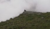 Trail Walking Val-Cenis - Lacs de Bellecombe - Photo 3