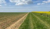 Tour Wandern Ormoy-le-Davien - 040522 - Boucle Ormoy le Davien - Moulin de Wallu... - Photo 3