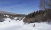 Tocht Sneeuwschoenen Les Déserts - plainpalais circuit - Photo 3