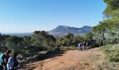 Trail Walking La Crau - La Navarre - Photo 4
