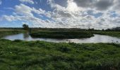 Tour Wandern Oud-Heverlee - S-GR Dijleland: Sint-Joris-Weert - Leuven - Photo 15