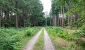 Randonnée V.T.T. Crécy-en-Ponthieu - Petit balade - Forêt Domaniale de Crécy en Ponthieu - Photo 2