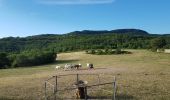 Randonnée Marche nordique Le Bosc - Le Bosc Grandmont - Photo 14