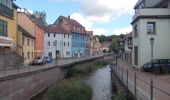 Tour Zu Fuß Trockenborn-Wolfersdorf - Roter Balken - Photo 4