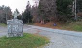 Tocht Mountainbike Proveysieux - Panflay- Plaine de Girieux- Col de la charmette - Photo 4