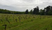 Tour Wandern Sauveterre-de-Guyenne - test - Photo 8