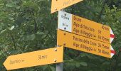 Trail On foot Gambarogno - Bruno - Quartino - Photo 1