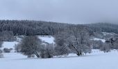 Tocht Stappen Murol - Le tour de Beaune le froid  - Photo 13