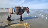 Excursión Senderismo Koksijde - Kruwerspad + de Verhulstjes - Photo 4