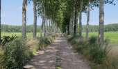 Trail Mountain bike Soignies - VTT_Boucle Casteau - Le Roeulx (39km) - Photo 5
