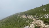 Trail Walking Saint-Pierre-de-Chartreuse - Col Charmette Grand Sur sommet 10,7 km - Photo 10