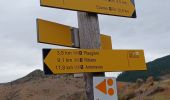 Randonnée Marche Val-Buëch-Méouge - RIBIERS,  col de Blauges . crêtes des Planes n - Photo 11