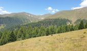 Trail Walking Toblach - Dobbiaco - Silverstertal - Valle San Silvestro - Photo 13