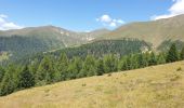 Randonnée Marche Toblach - Dobbiaco - Silverstertal - Valle San Silvestro - Photo 13