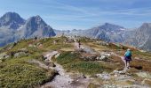 Tocht Stappen Chamonix-Mont-Blanc - CHAMONIX ... Col de Balme & Aiguillettes des Posettes. - Photo 10