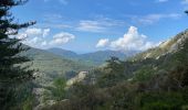 Tour Wandern Évisa - Corse 2023: Evisa - Refuge de Puscaghia - Photo 11