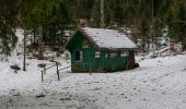 Trail Walking Le Ménil - Grande boucle au départ des chalets de la Feigne sur de l'Eau - Photo 5