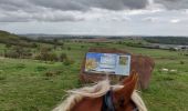 Trail Horseback riding Ernolsheim-lès-Saverne - 2019-10-09 Rando CVA Boucle du Bastberg - Photo 3