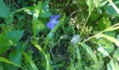 Tour Wandern Les Arcs-sur-Argens - l'apié de raybaud - Photo 6