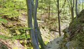 Percorso Marcia Aywaille - Tour du Ninglinspo par le ruisseau du Chefna -  ballade de la mine d'or - Photo 8