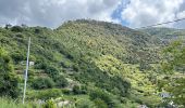 Trail Walking Vernazza - Vernazza - Riomaggiore - Photo 5