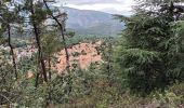 Trail Walking Vernet-les-Bains - Vernet 2 - Photo 2