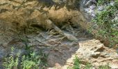 Tour Wandern Minerve - Gorges de Minerve  - Photo 11