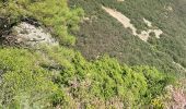 Excursión Senderismo Saint-Guilhem-le-Désert - st guilhem - Photo 1