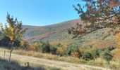 Trail Walking Omblèze - Canyon des Gueulard - Photo 2