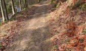 Tour Wandern Manhay - Harre, marche adeps 10 Km - Photo 4