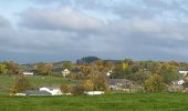 Randonnée Marche Neufchâteau - Molinfaing observatoire - Photo 13