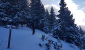 Tour Schneeschuhwandern Lans-en-Vercors - Le Belvédère des Cimes par la cabane des Ramées et retour par la Croix des Ramées  - Photo 10