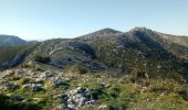 Trail Walking Marseille - Mont Lantin par la Candolle - Photo 1