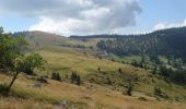 Trail Walking Sondernach - 2022-07-10 Boucle et sommet du Petit Ballon  - Photo 1