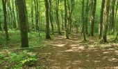 Tour Wandern Chimay - rando lompret 26-05-2023 - Photo 4