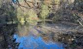 Tour Wandern Welkenrath - Welkenraedt -Eupen 24,5 km - Photo 9