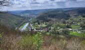 Tocht Stappen Vresse-sur-Semois - Vresse via Mouzaive 020523 - Photo 12