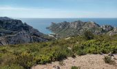 Trail Walking Marseille - Marseilleveyre-sommet-1105-22 - Photo 4