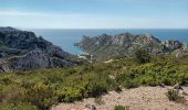 Tocht Stappen Marseille - Marseilleveyre-sommet-1105-22 - Photo 4